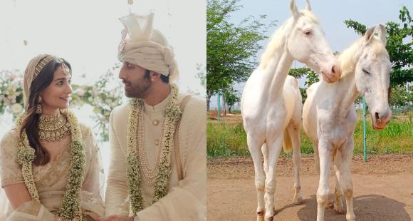 Alia Bhatt-Ranbir Kapoor get sweet wedding gift: 2 inseparable horses named ‘Ranbir-Alia’, Pooja Bhatt reacts