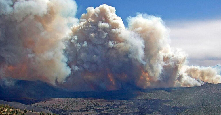 Arizona Wildfires Seize on Chaotic Winds and Parched Forests