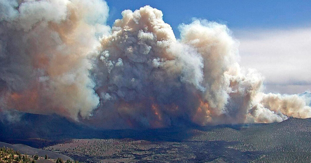 Arizona Wildfires Seize on Chaotic Winds and Parched Forests